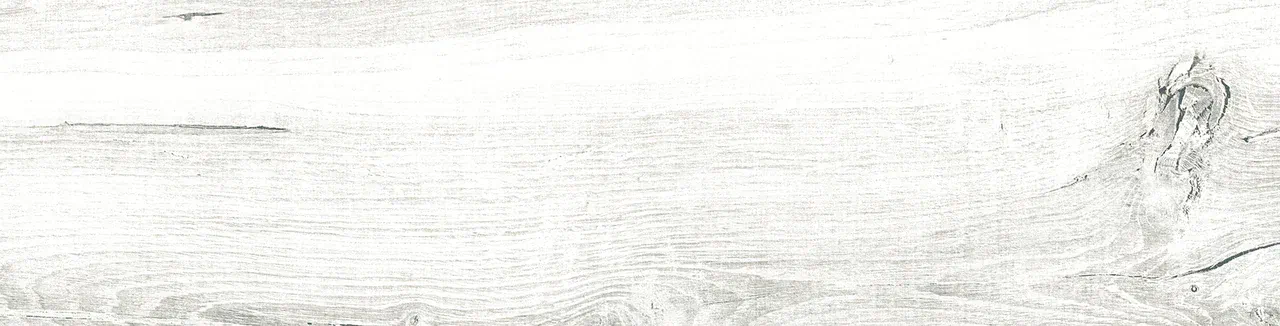 Керамогранит ZA 0005 ZARINA 60х15х08