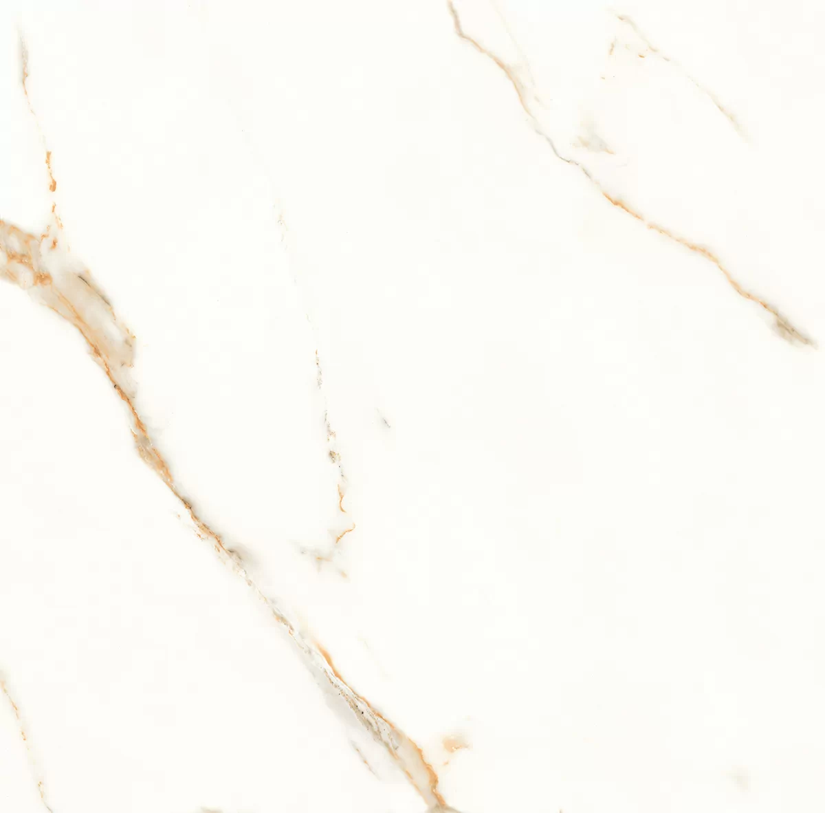 Керамогранит Venato Calacatta Gold белый сатинированный 60х60