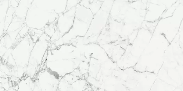 Керамогранит 769860 Les Origines De Rex Blanc Glossy 60x120