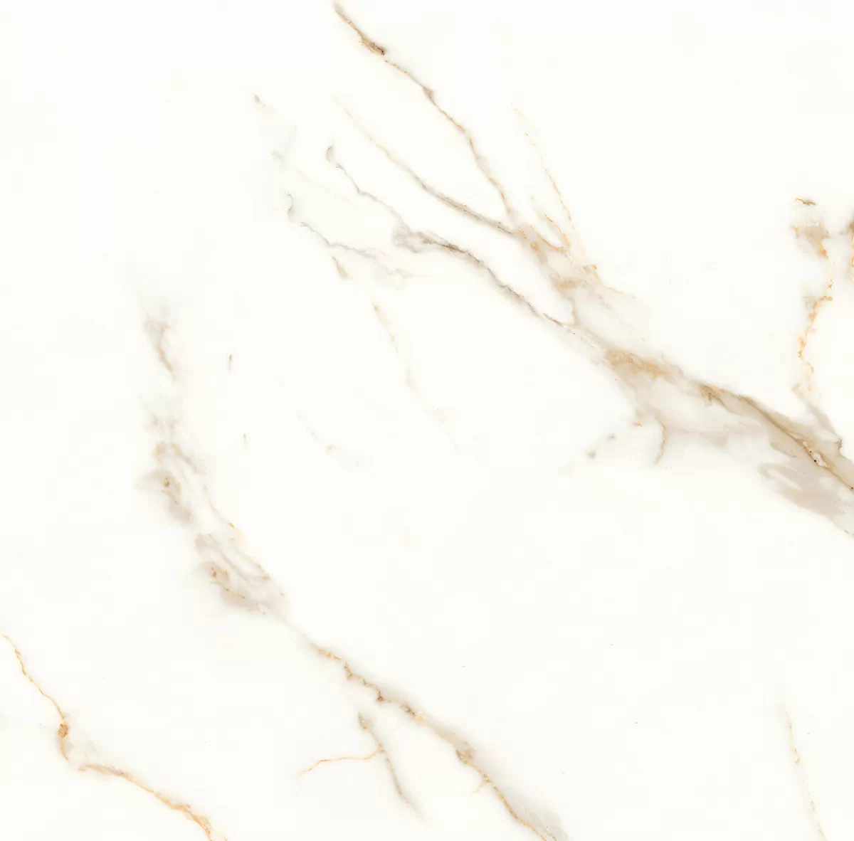 Керамогранит Venato Calacatta Gold белый сатинированный 60х60