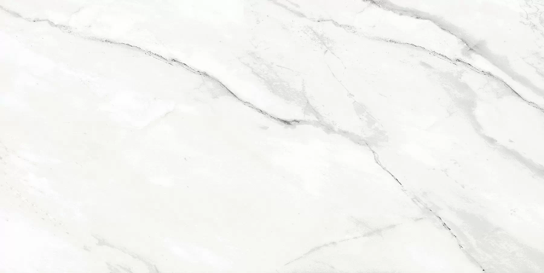 Керамогранит Bianco Avаrio PGVT 60x120