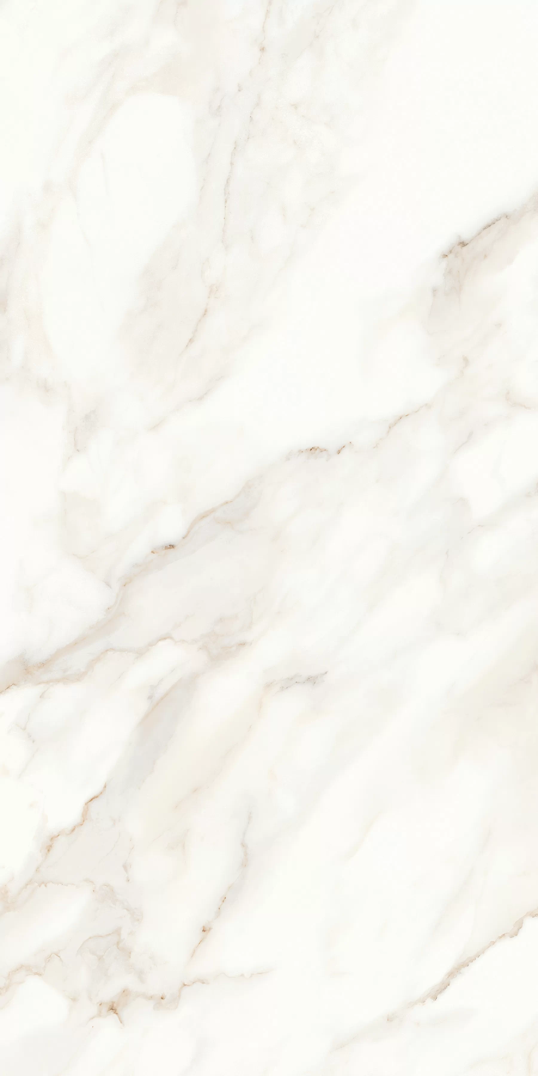 Керамогранит MPL-058623 Calacatta Polished 60x120