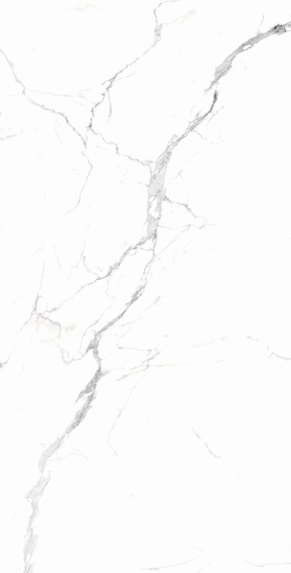 Керамогранит RT7018-A Carrara White Matt Rustic 60x120