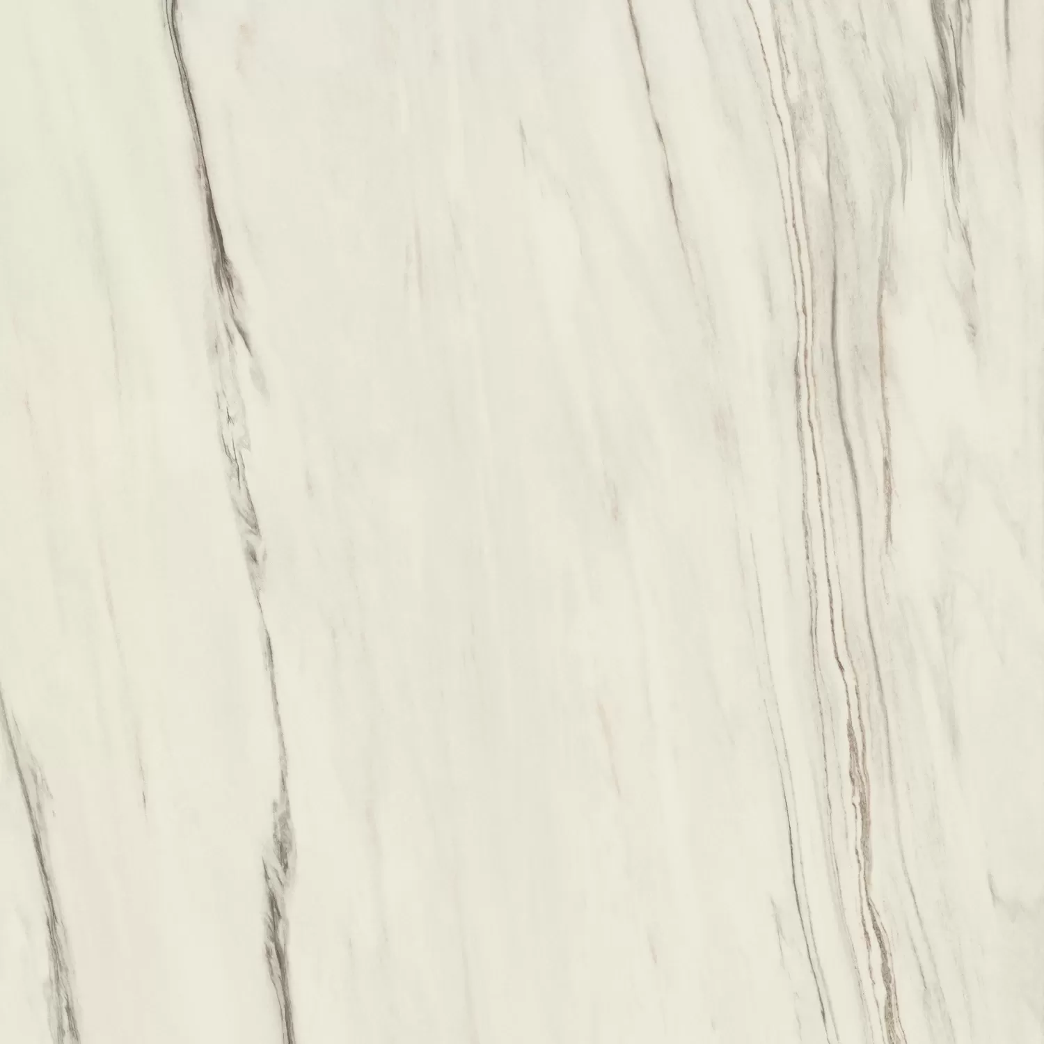 Керамогранит A203 Marvel Bianco Fantastico Matt 120x120