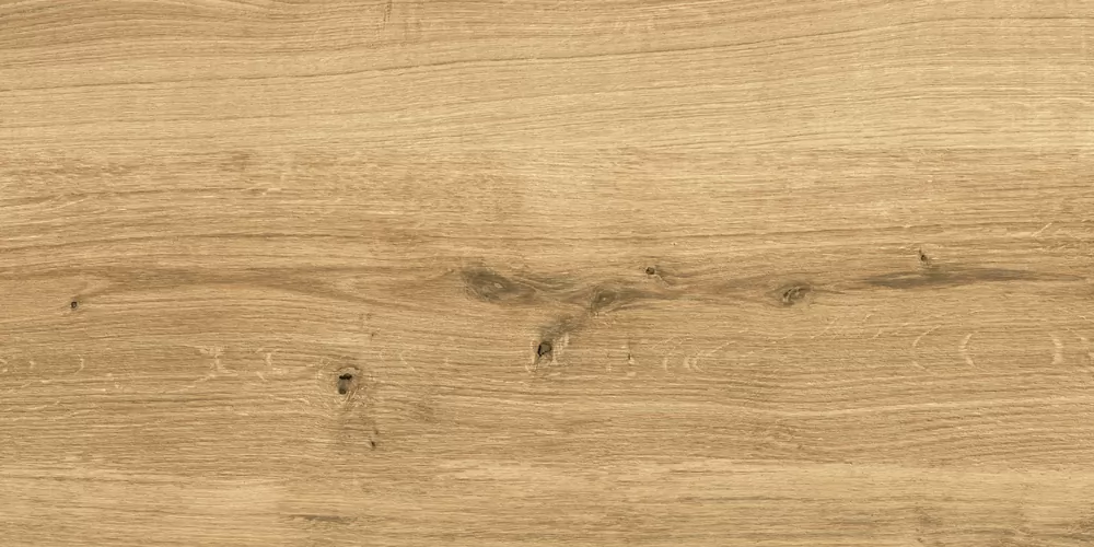 Керамогранит C-WS4O112D Woodhouse коричневый 29,7х59,8