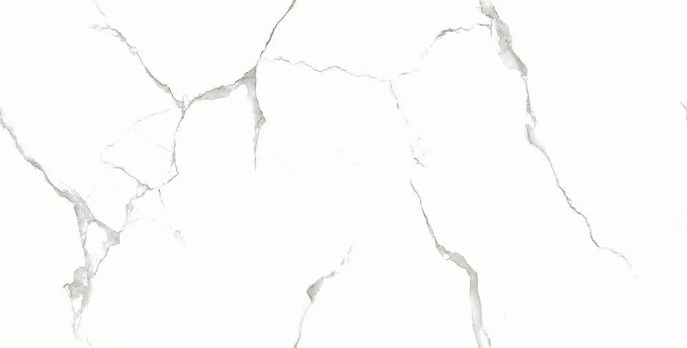 Керамогранит Silver White PGVT 60x120