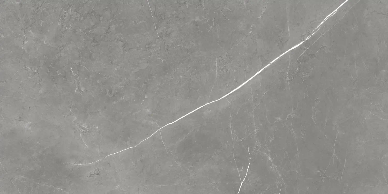 Керамогранит 610015000657 Forte dei Marmi Elegant Grey Rett Cer 60x120