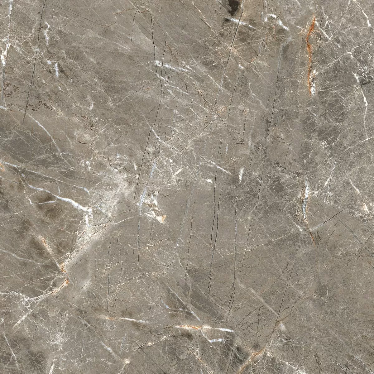 Керамогранит R_PR1023 Olympia Grey Polished 60x60