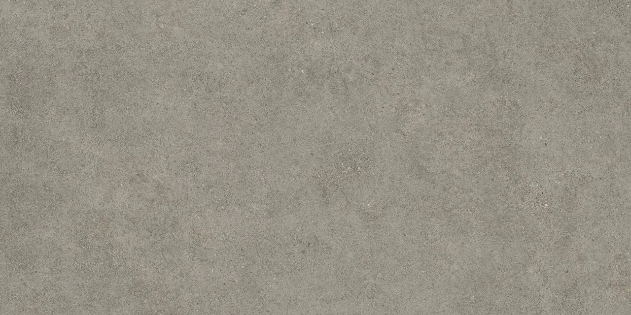 Керамогранит 610010005813 Forte dei Marmi Rock Lunar Grey Matt Rett 80x160