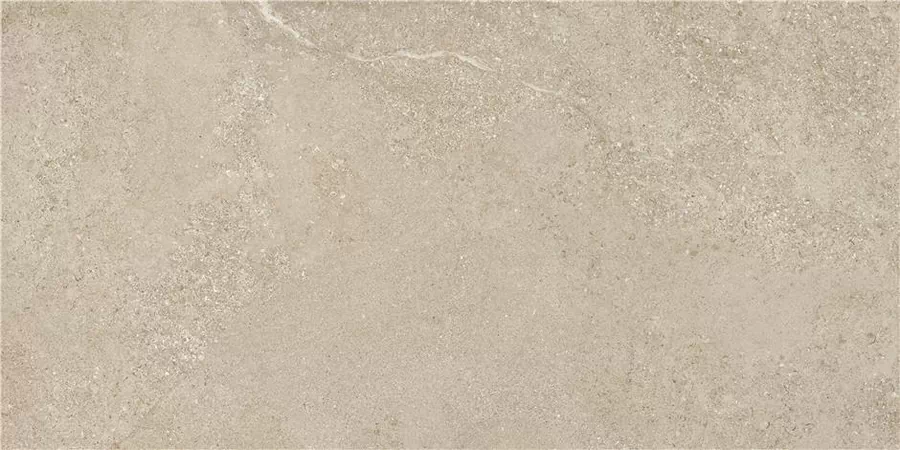 Керамогранит Arenite Natural Matt 60x120