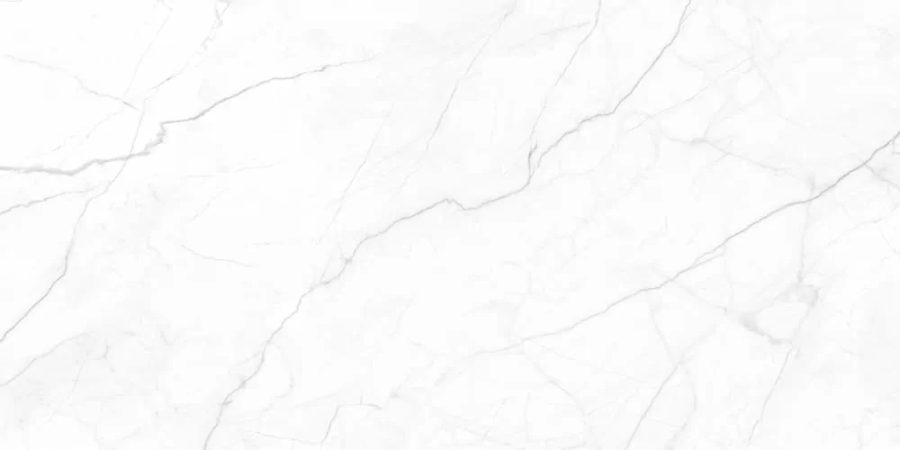 Керамогранит Royal Infinite White 120x60