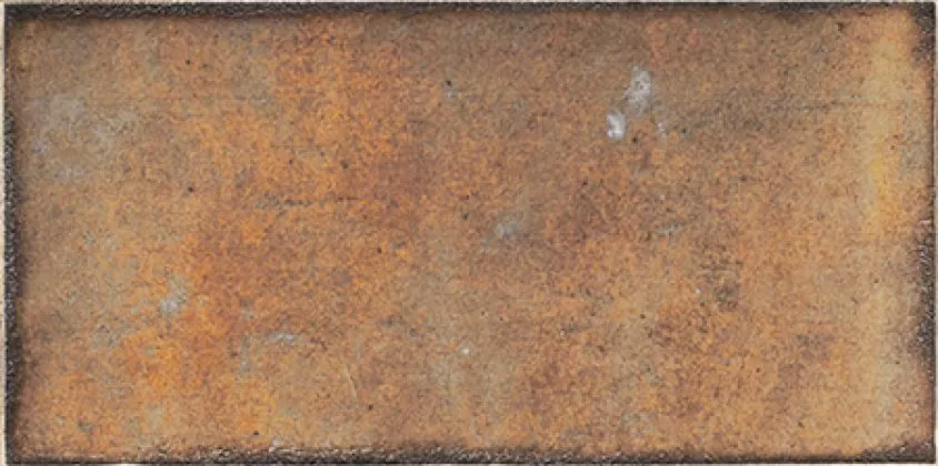 Плитка PT02548 Esenzia Terra 15x30