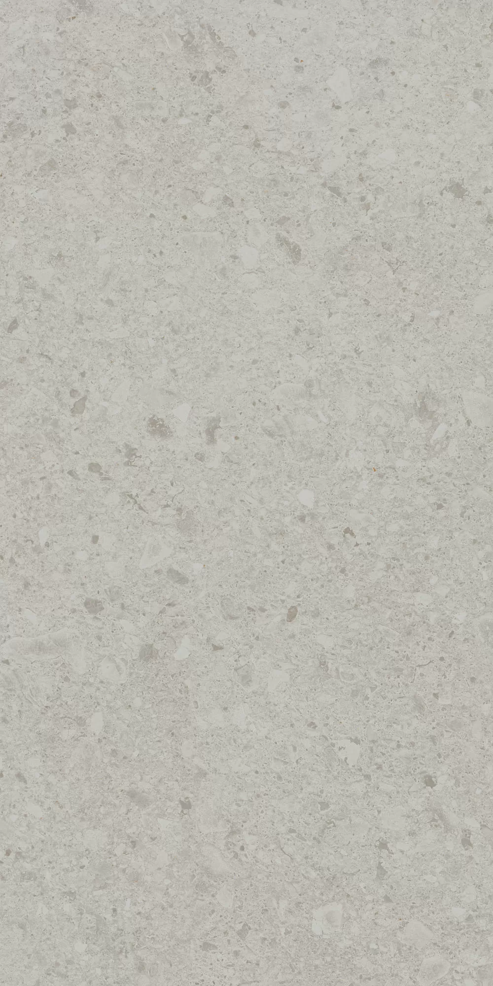 Керамогранит DD591220R Чеппо ди Гре серый светлый матовый обрезной 119,5x238,5x0,9