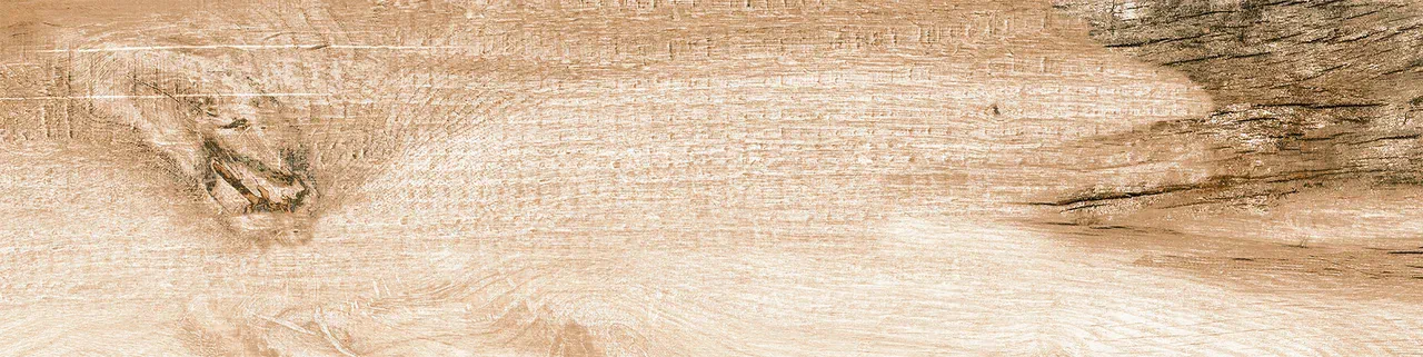 Керамогранит 0054 PHOENIX 60х15х08