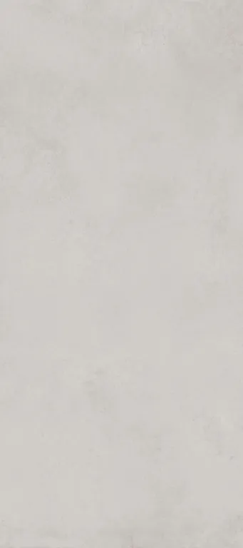 Керамогранит DL0L58M01 Delishn mouse 60х120