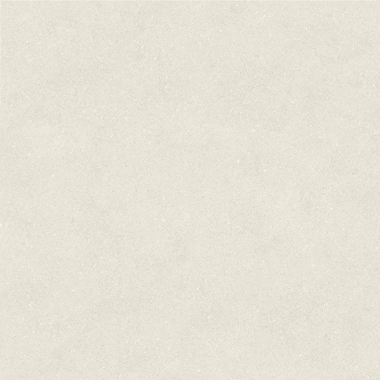 Керамогранит 100348029 Terra Bone 120x120