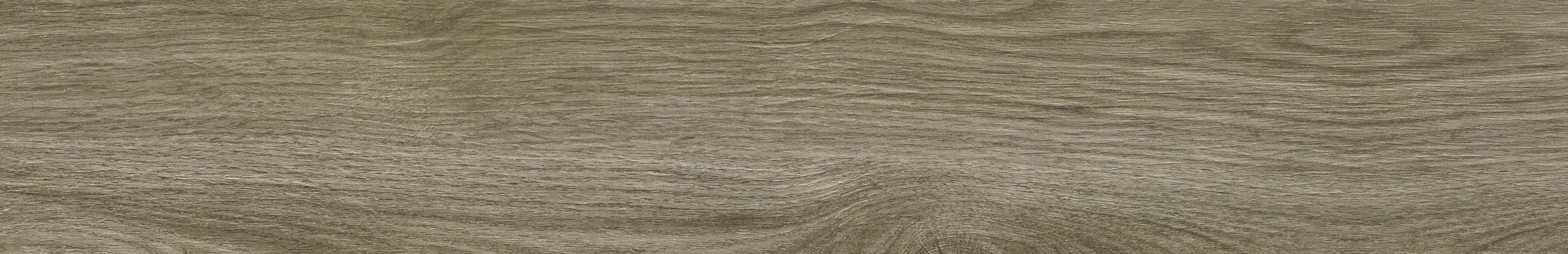 Керамогранит NTT92306M Wood Forest Mat 20x120