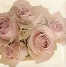 Плитка Decor Cuore 20x20 mix
