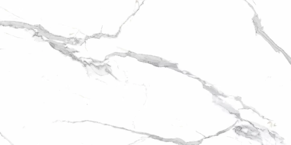 Керамогранит Calacatta Splendid Silver Белый Полированный 60х120