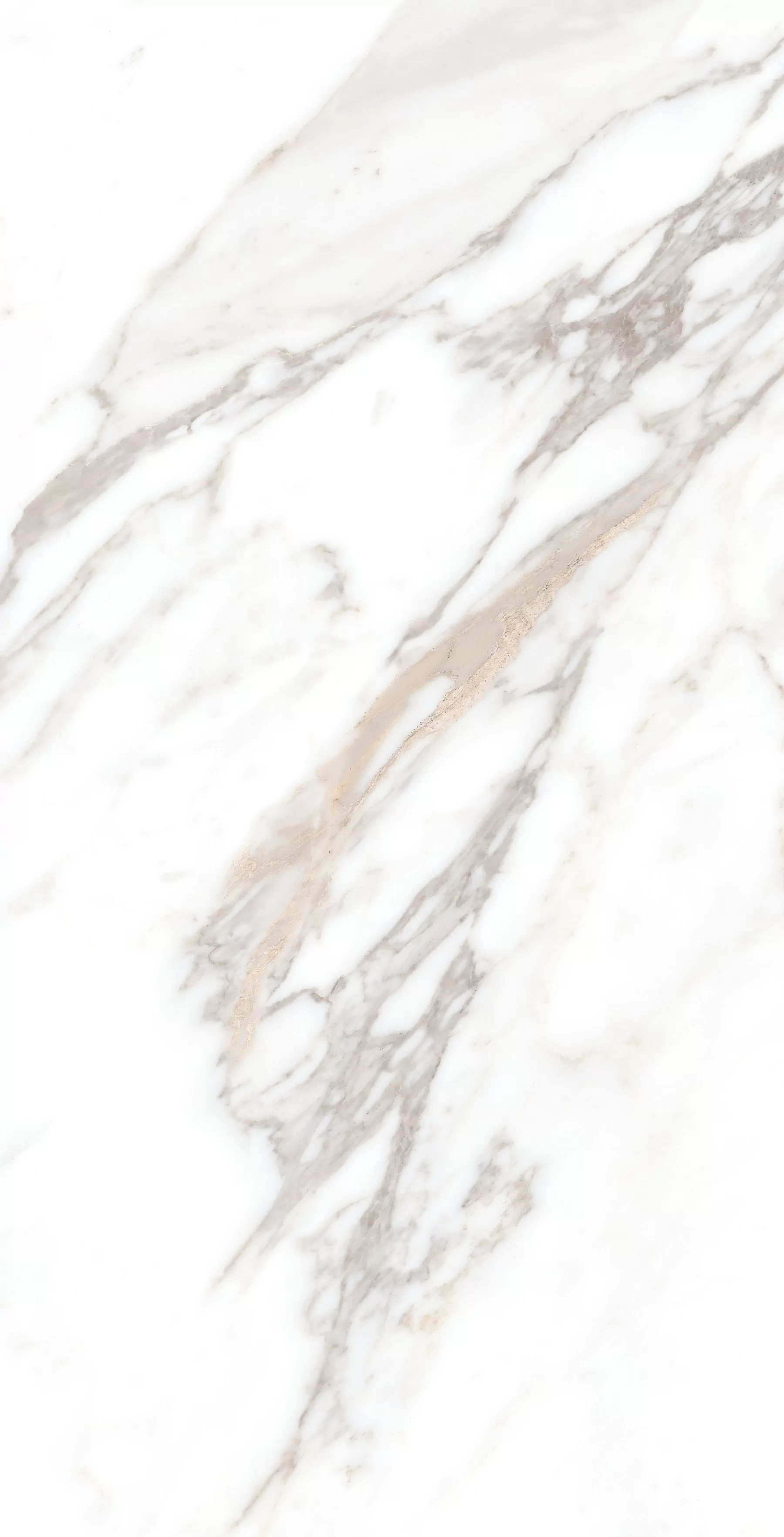 Керамогранит Calacatta Borghini Sugar 60х120