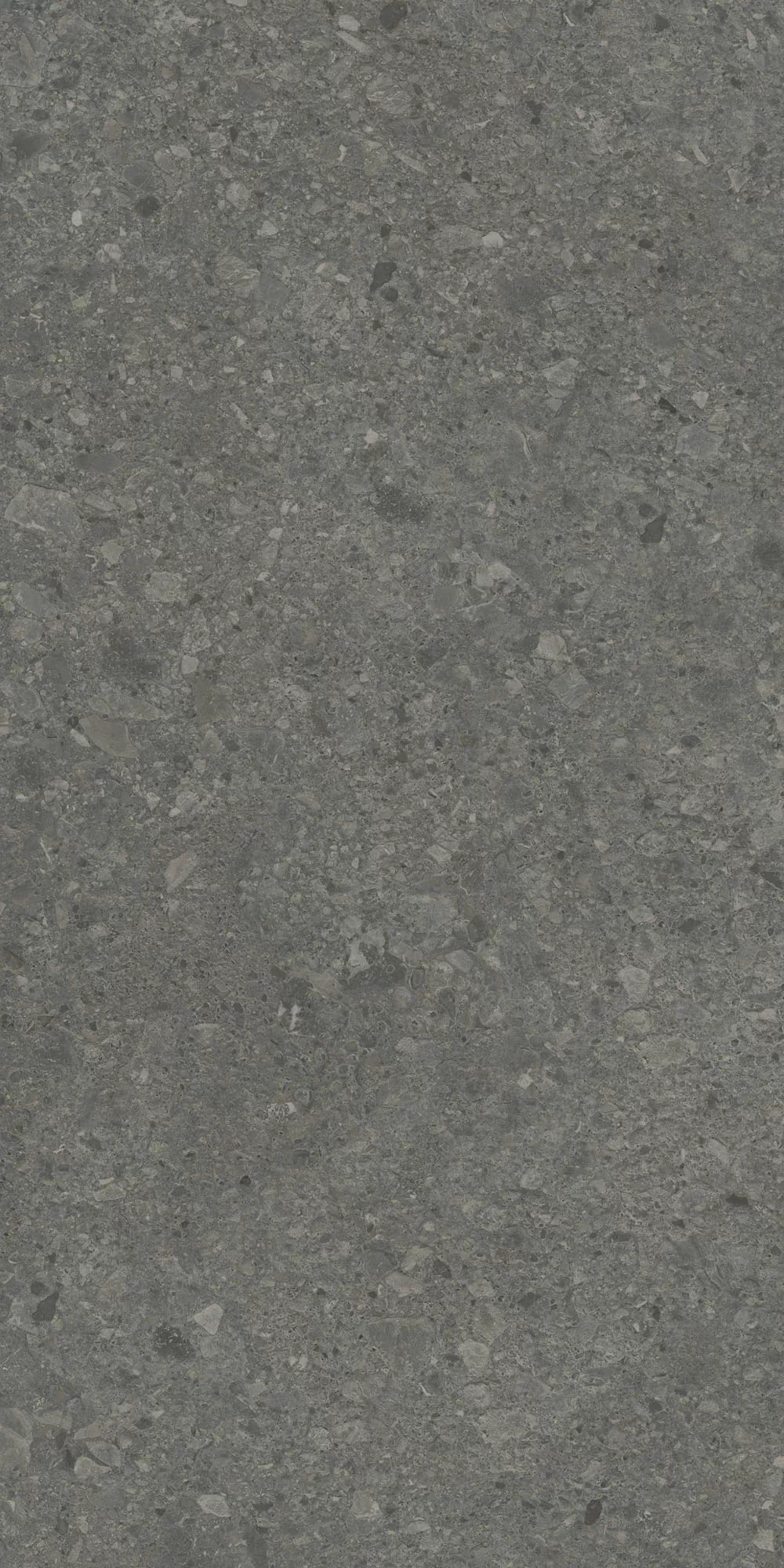 Керамогранит DD591620R Чеппо ди Гре антрацит матовый обрезной 119,5x238,5x0,9