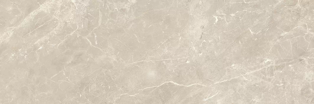 Плитка Balmoral Taupe Rectificado 40х120
