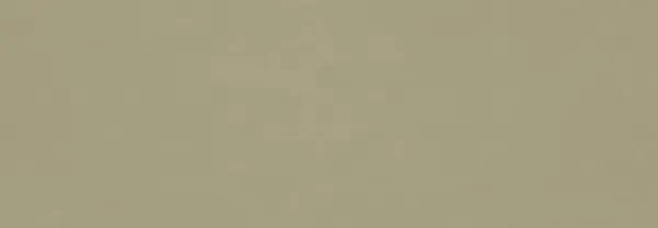 Плитка RA6E Vida Verde Rett 30x90