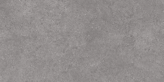 Керамогранит DL590100R Фондамента серый обрезной 119,5х238,5