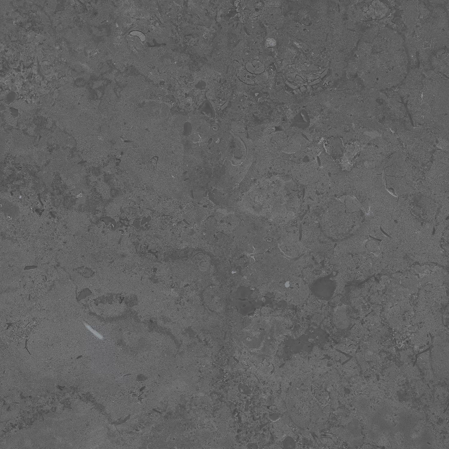 Керамогранит DD640820R Про Лаймстоун серый темный натуральный обрезной 60х60