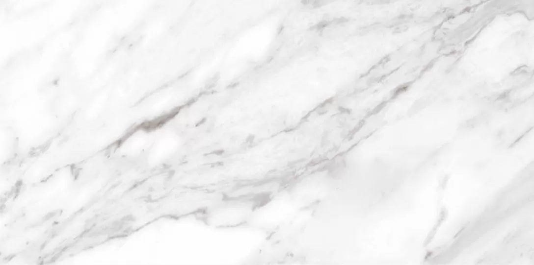 Керамогранит North Gloss White 49.1x98.2