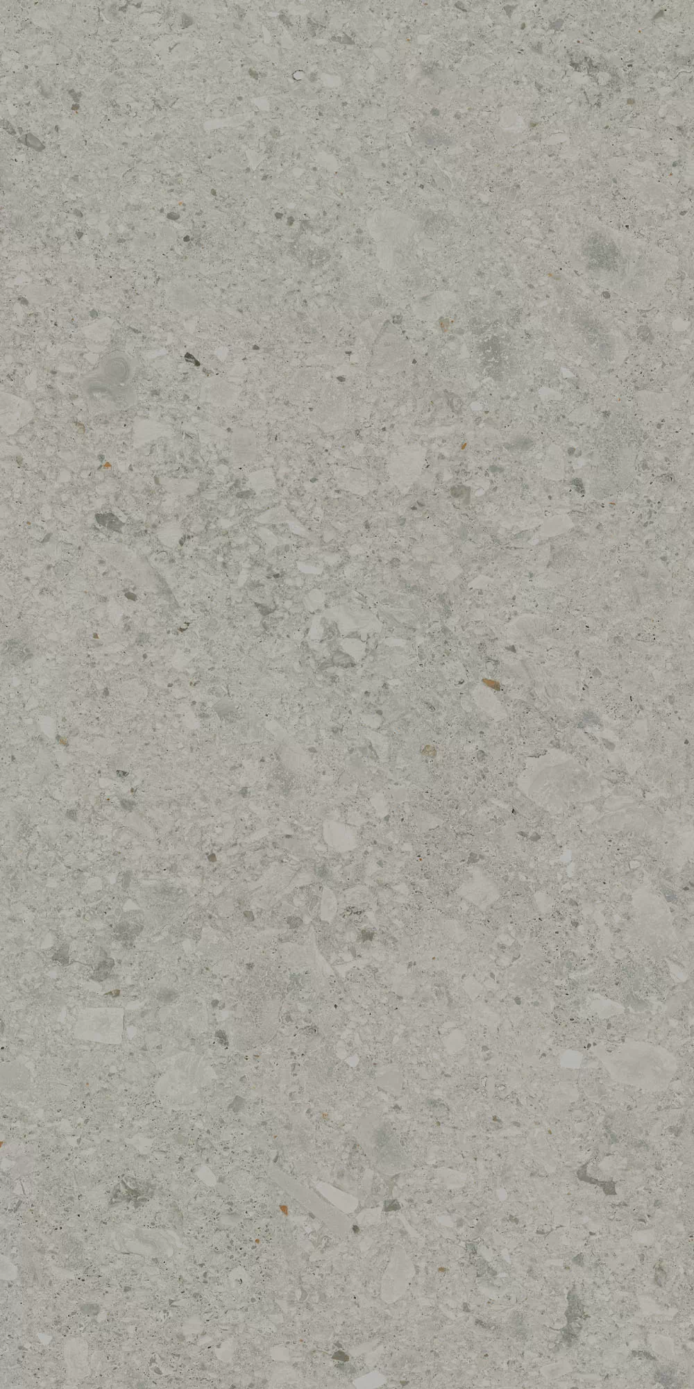 Керамогранит DD591400R Чеппо ди Гре серый матовый обрезной 119,5x238,5x1,1