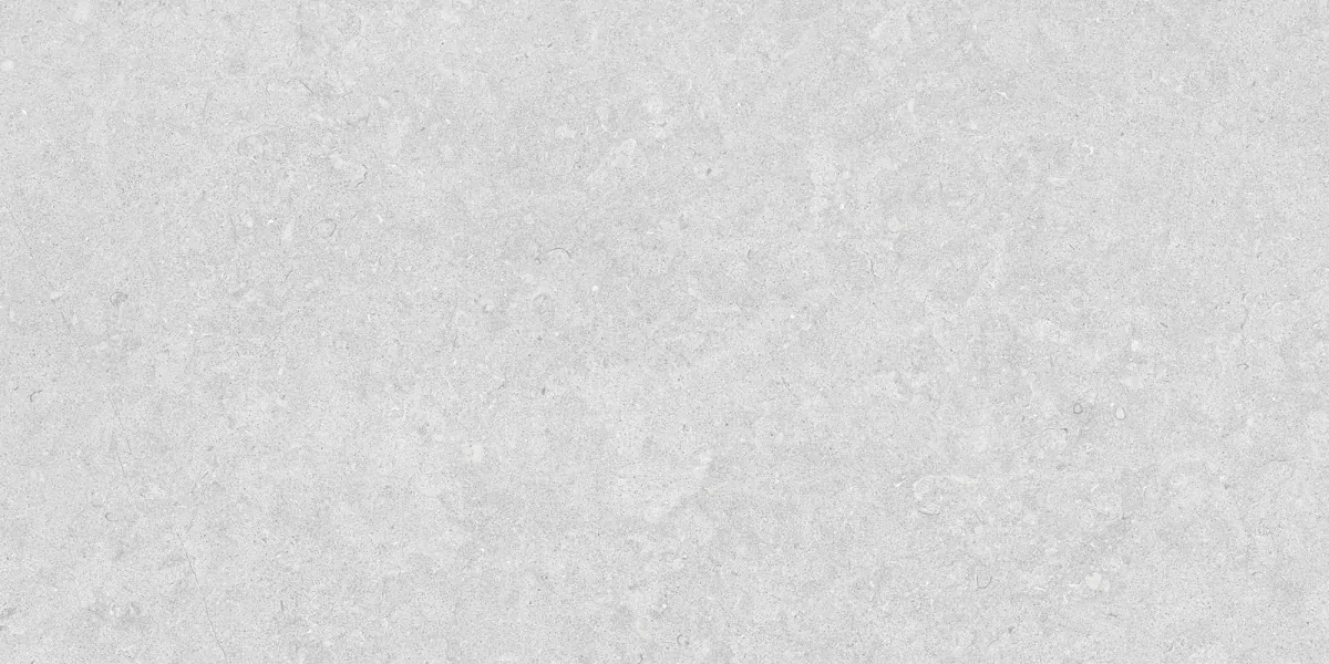 Керамогранит 31752 Ghent Silver AS/60X120/C/R R11 60x120