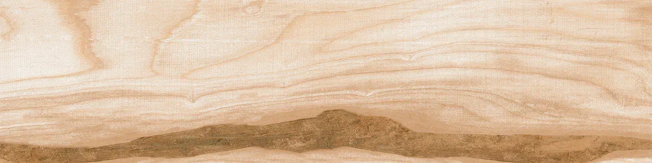 Керамогранит 0054 PHOENIX 60х15х08