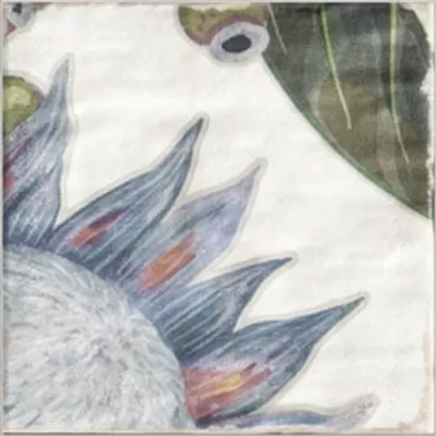 Плитка DECOR PROTEA 20x20