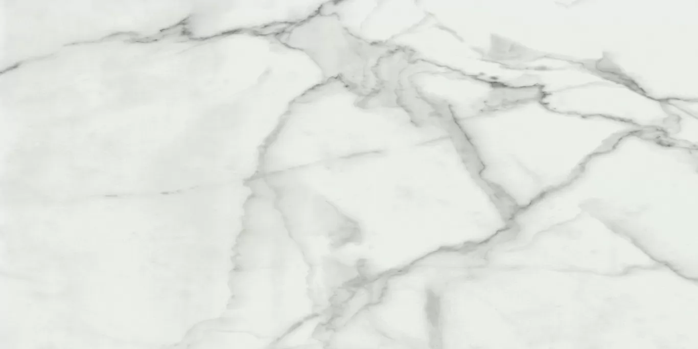 Керамогранит Invictus Natural Rectificado 60x120