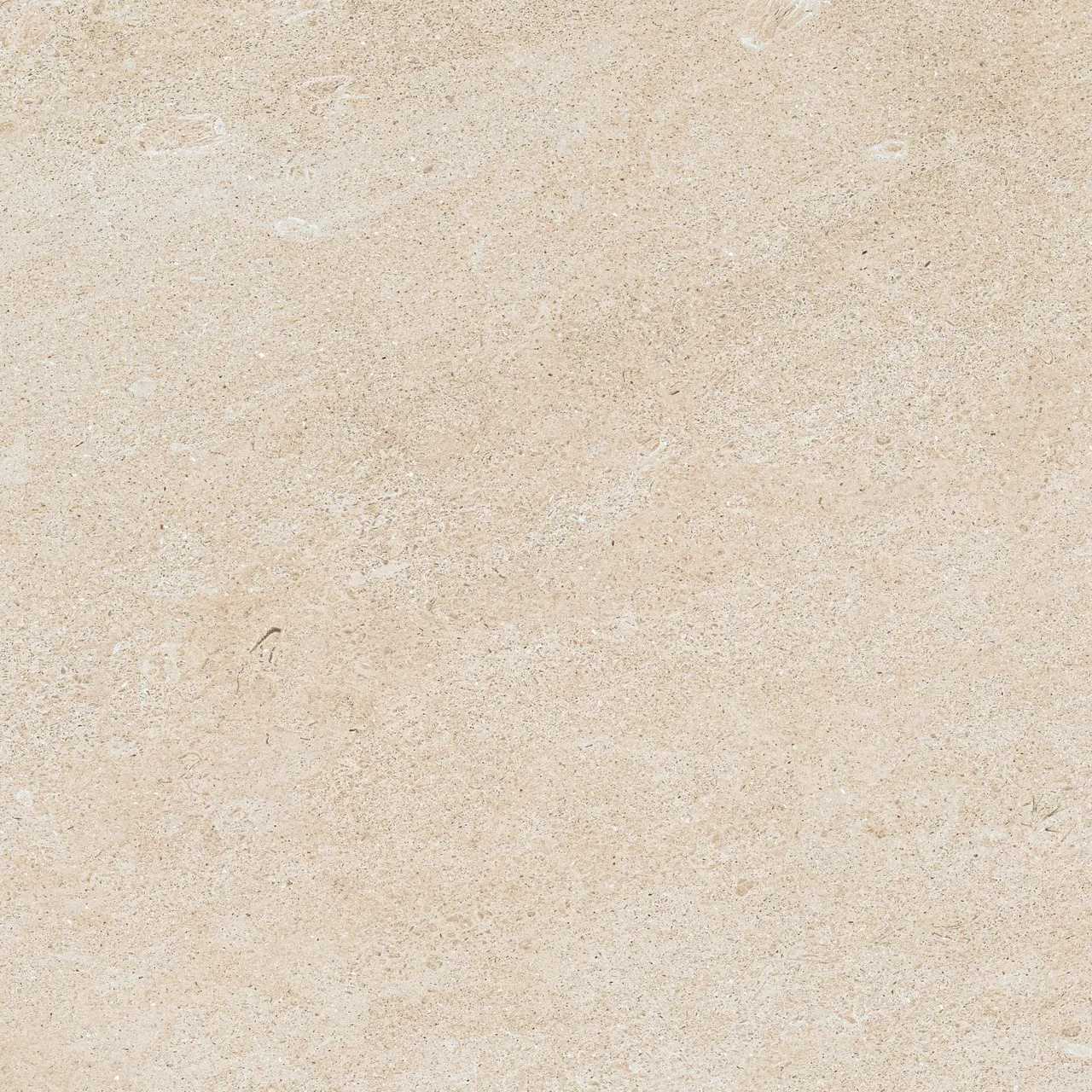 Керамогранит 610010005835 Forte dei Marmi Rock Siberian Ivory Lastra 20mm 60x60