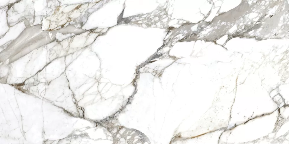 Керамогранит 17431 Silvia полированный белый ректификат 60x120