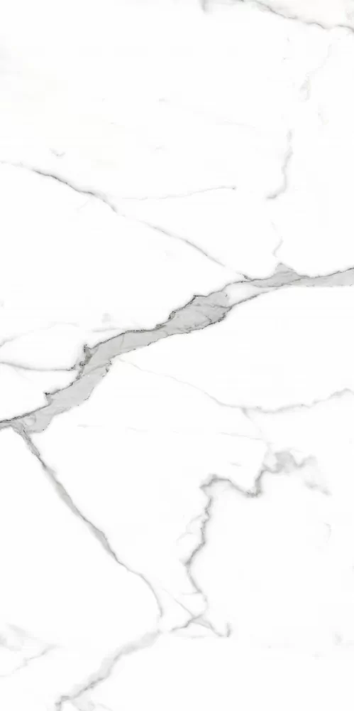 Керамогранит PR207 Salvatore Polished 600x1200