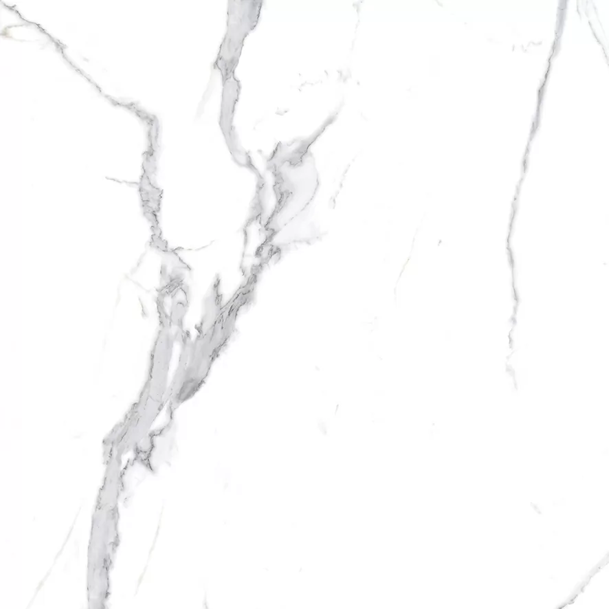 Керамогранит Calacatta Splendid Silver Белый Матовый 60х60