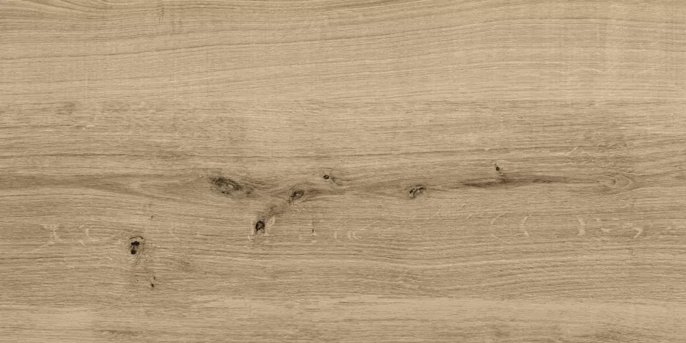 Керамогранит C-WS4O152D Woodhouse темно-бежевый 29,7х59,8