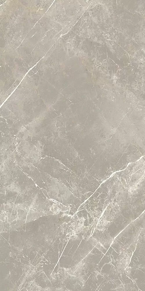 Керамогранит 766528 Elemental Grey Dolomia Luc Ret 60x120